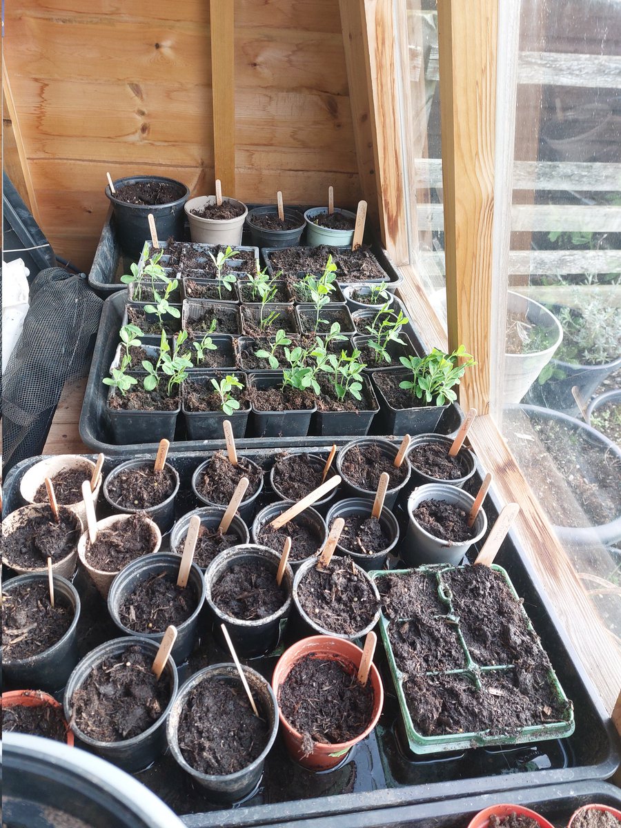 Kate Couzens tweet media