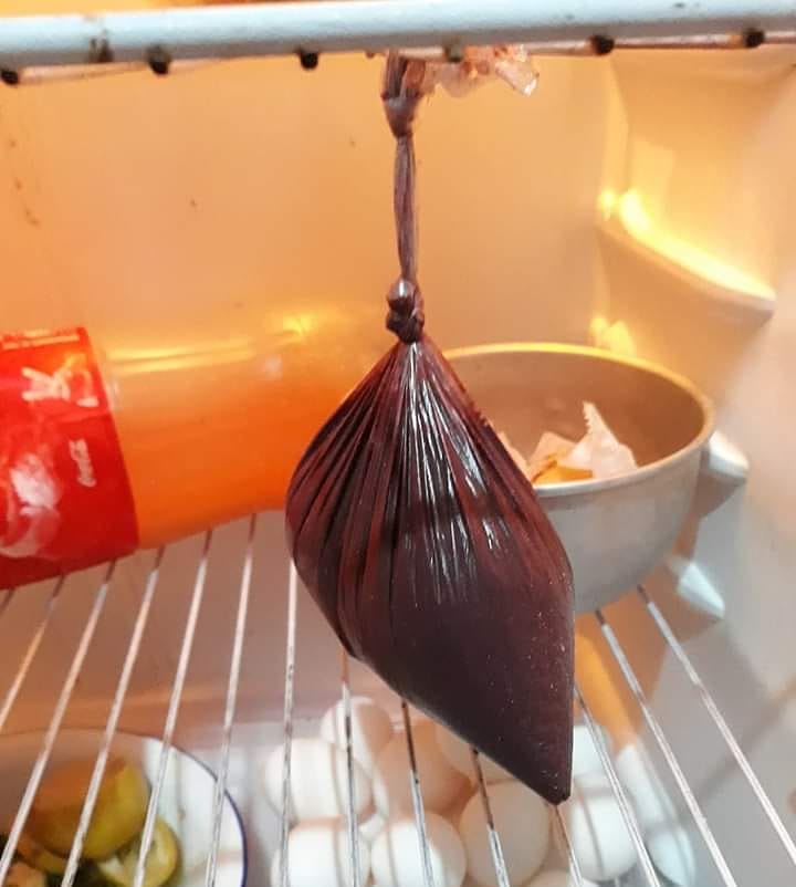 O_Vigiense's tweet photo. 🚨 DICA IMPORTANTE! 🚨

Se você pendurar o açaí assim na geladeira, ele vai durar mais tempo, porque ele vai pensar que ainda está no açaizeiro. 🌴👀

Me sigam para mais dicas. 
😁🤭😝 https://t.co/Ek4enYutVS