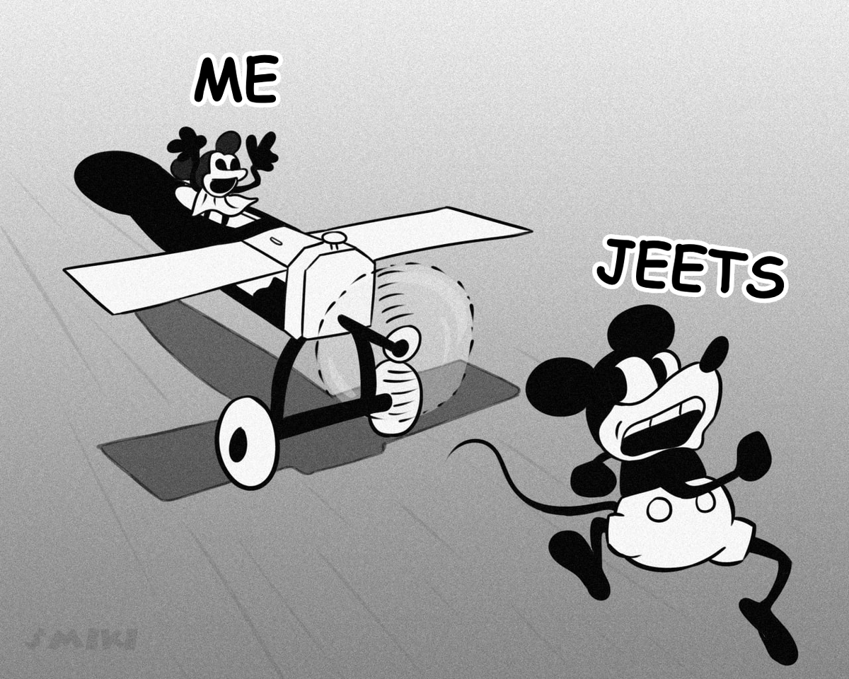 Plane Crazy - $MIKI tweet media