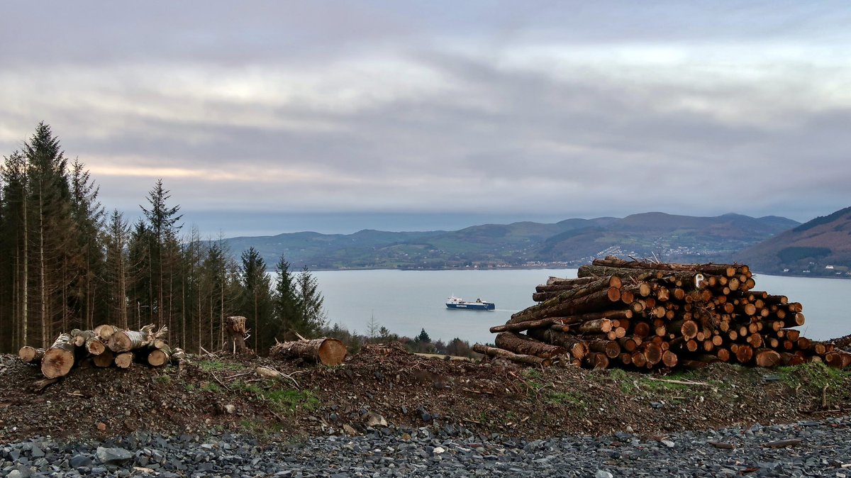 Carlingford Lough tweet media