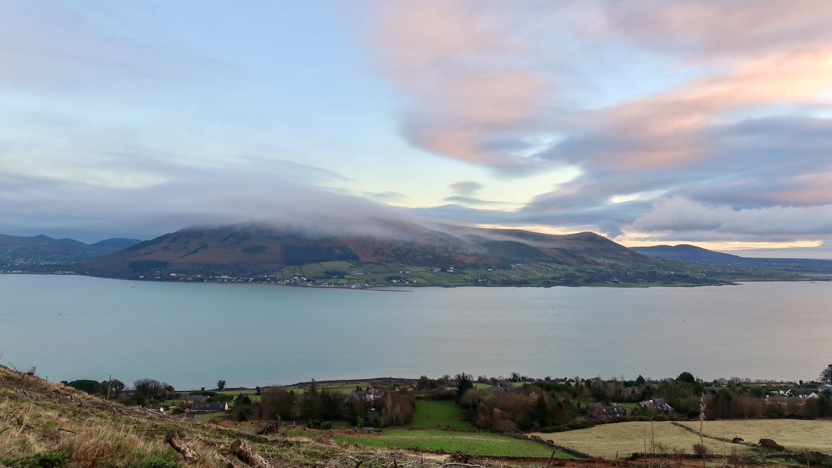 Carlingford Lough tweet media