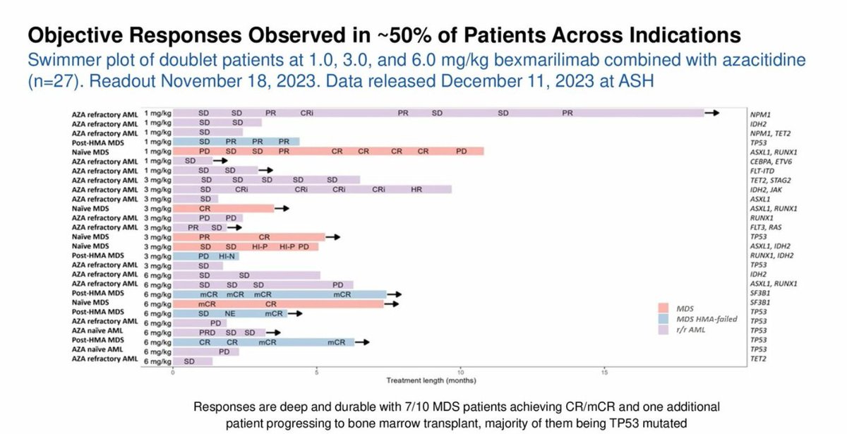 One of Immumotherapies being trialed is Bexmarilimab in combination with azacitidine - Bexmab trial is showing highly encouraging results . Looking forward to P2 data #AML #azacitidine #bex #FARN