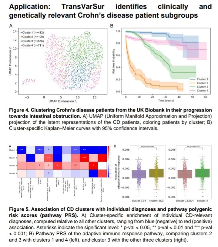 New state-of-the-art tool by colleagues @Boehringer for those working with EHR data in @uk_biobank & beyond: 
Deep representation learning for clustering longitudinal survival data from electronic health records
medrxiv.org/content/10.110…
 
#ElectronicHealthRecords #MachineLearning