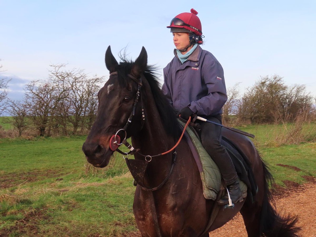 Summerdown1997's tweet photo. Our Cheltenham Festival hero THIRD WIND (Shirocco x Act Three) is set to make his long awaited return in the 1.49 from @WarwickRaces this afternoon!
Best of luck to connections! 🙌🏼
@JohnnyBurke2 is our pilot! 💪🏼
#SummerdownStables
#ThirdWind https://t.co/nGTmkLVgnm