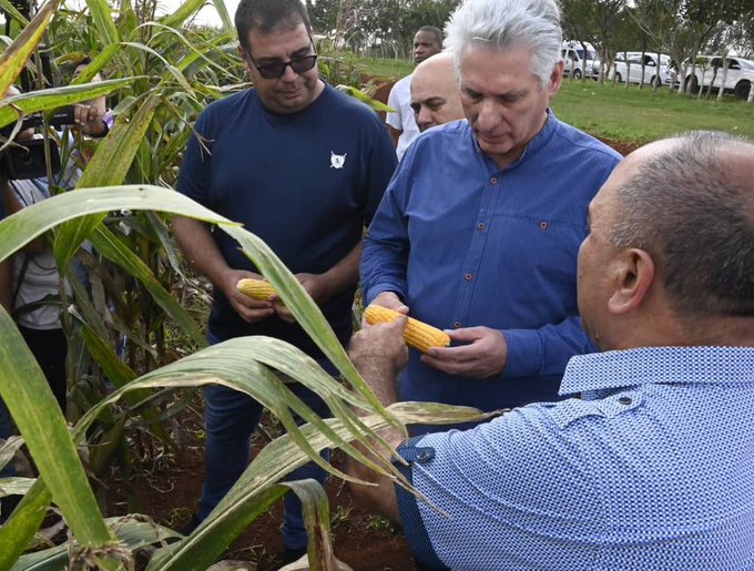 Foto: @PresidenciaCuba