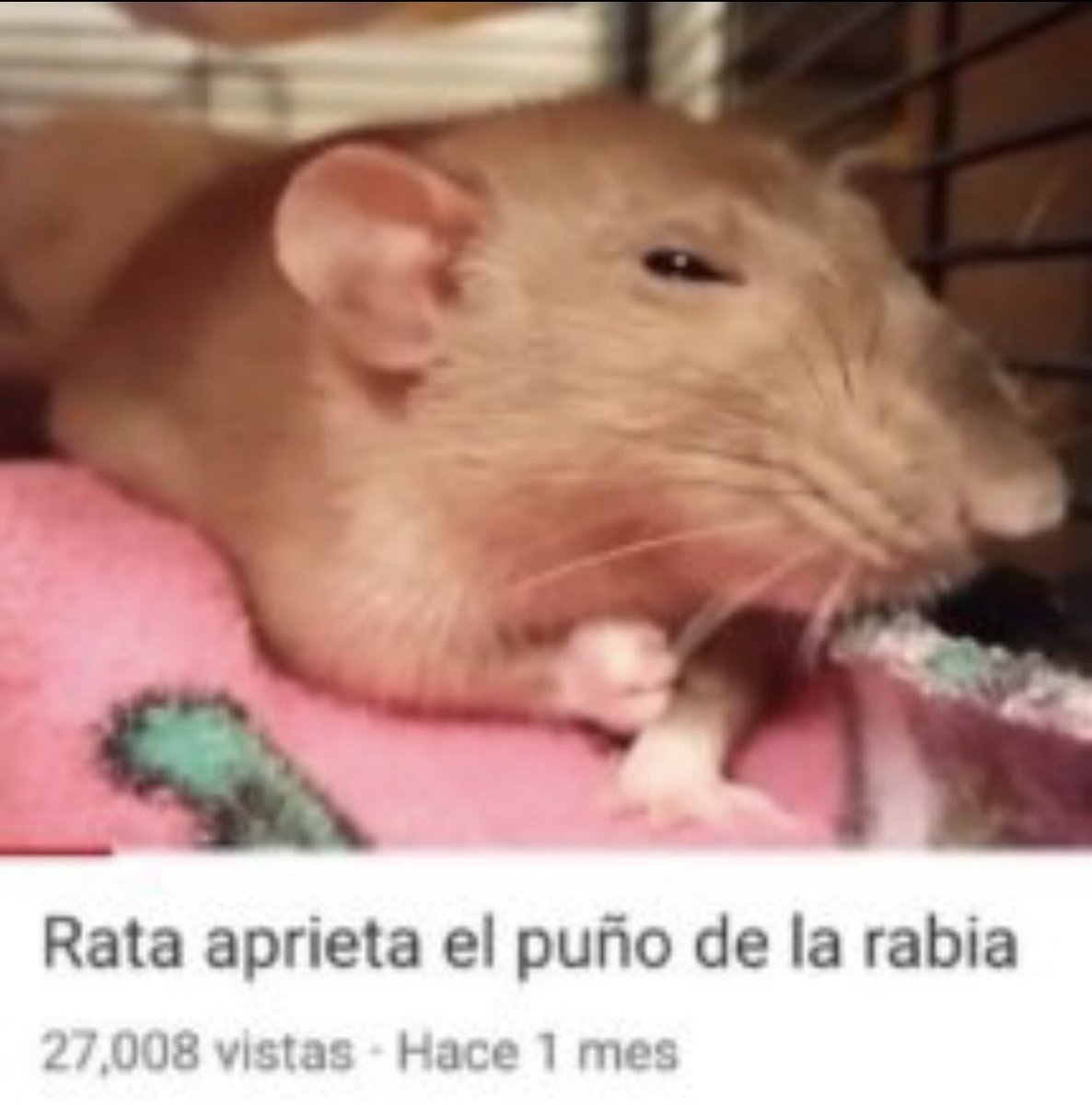 odio que haya gente que intente hacerse amigo de mis amigos, son mis amigos no los tuyos