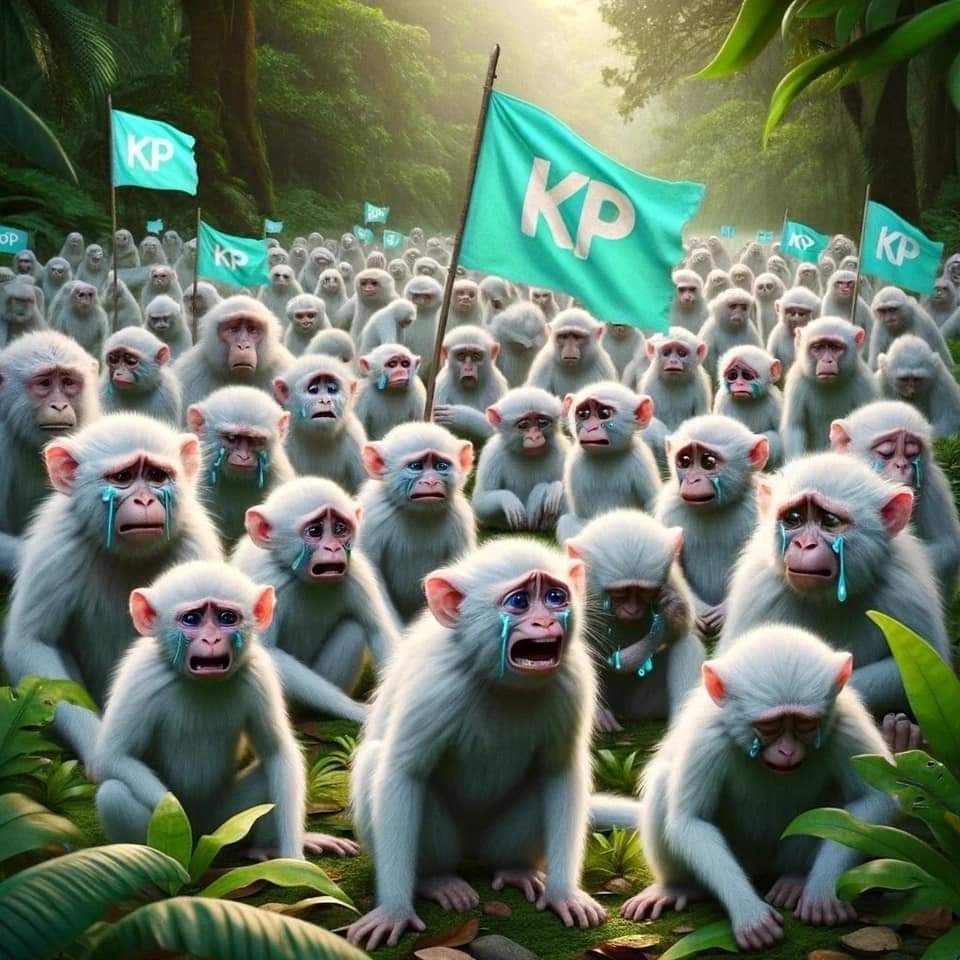 GeniusKiKi tweet media