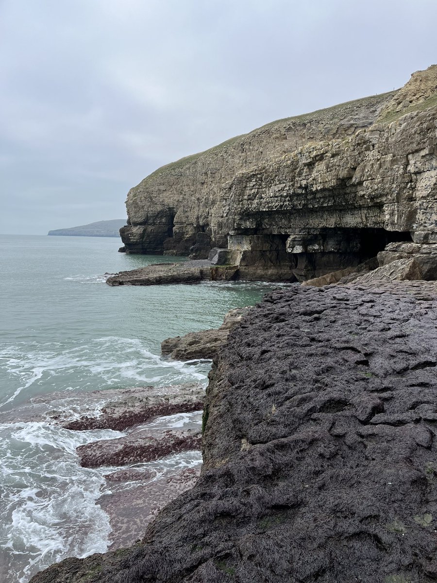 TravellingTrev's tweet photo. Fantastic Isle of Purbeck round today. Guillemots galore! #JurassicCoast #Dorset #DancingLedge π¦β€οΈ π¦ https://t.co/G5ysy0Jhrs