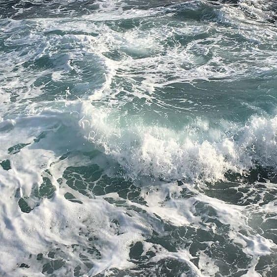sea ⋆。𖦹 °˖ tweet media