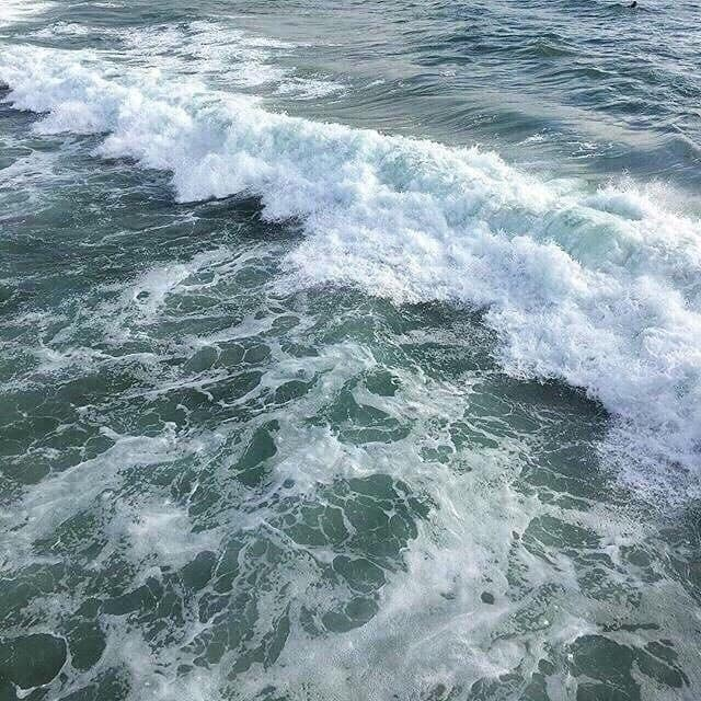 sea ⋆。𖦹 °˖ tweet media