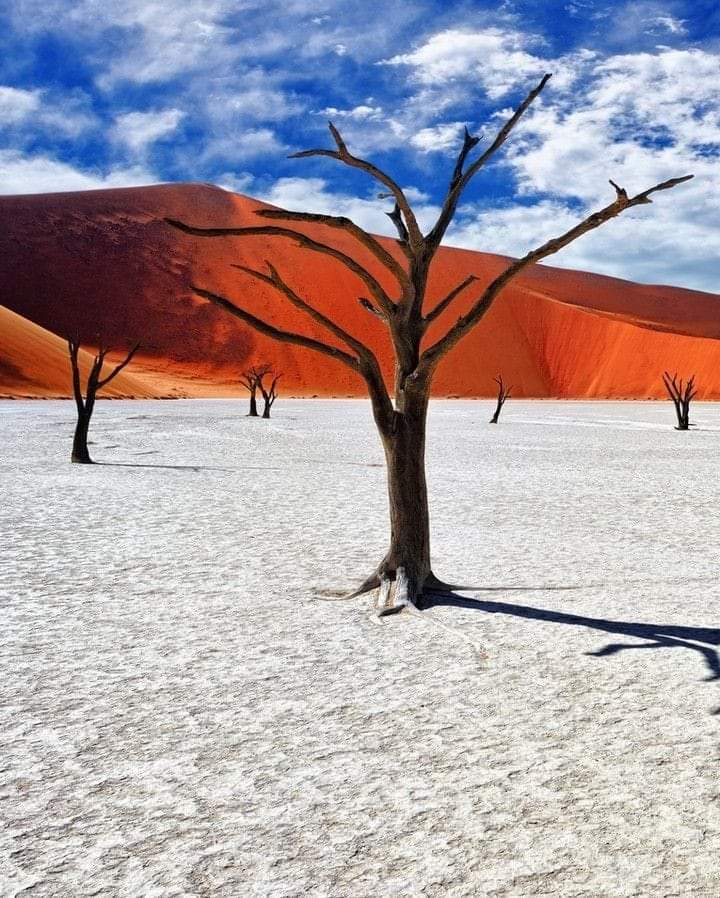 Namibia ❤️ 🇳🇦