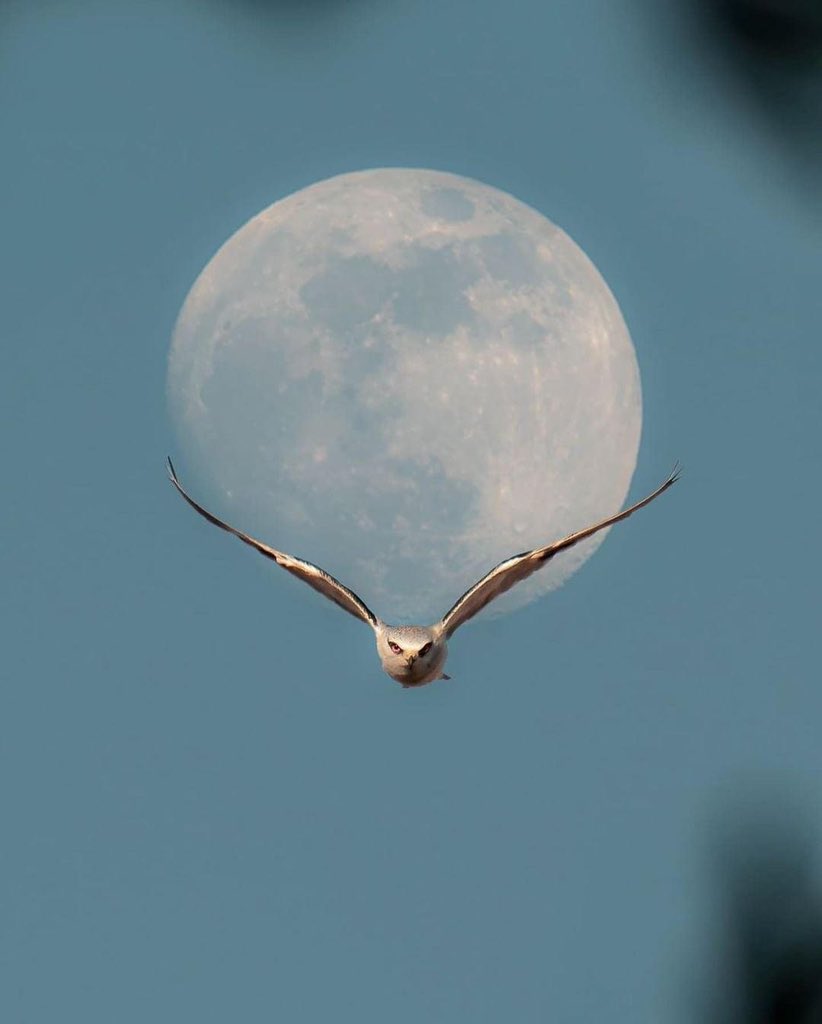 Сайхан амарцгаагаарай 💤🌘✨