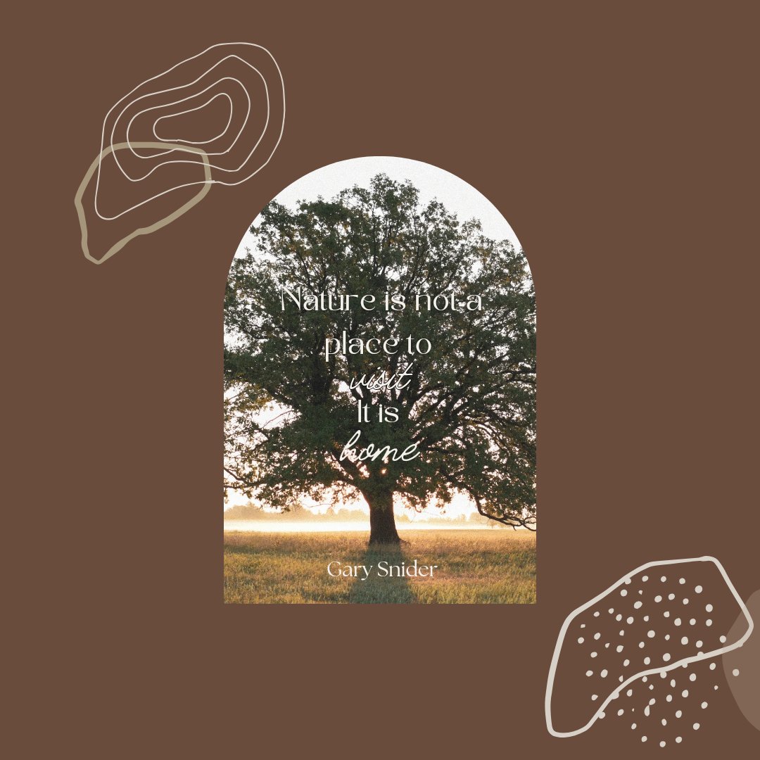 "Nature is not a place to visit. It is home." 🌳 

- Gary Snider 

As we stand beneath its canopy, let's remember that we are not just passing through, but returning to where we truly belong. 

May we treat Nature with the love and respect a home deserves.

#NatureIsHome