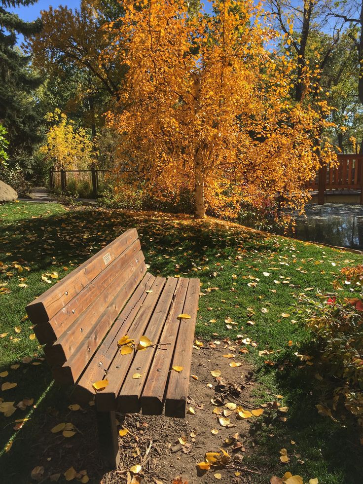 studyeloo's tweet image. vá pro pinterest.  

"seu nome core" 
"seu nome baking" 
"seu nome autumn" 
"seu nome pets"