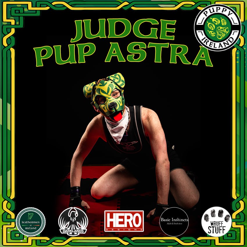 PupsOfIreland's tweet photo. Introducing Puppy Ireland 2024 Head Judge, the outgoing and first ever Puppy Ireland 2023:

@pupastra 

#PuppyIreland2024 https://t.co/bDtWgEhVBe