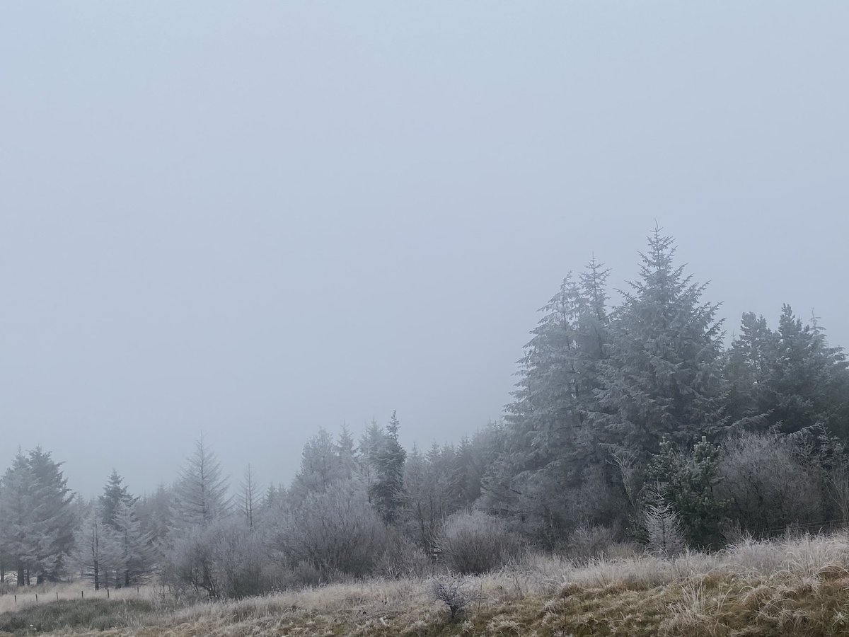 Chilly at the top of Rhigos.   Frozen landscape. No snow 🥶