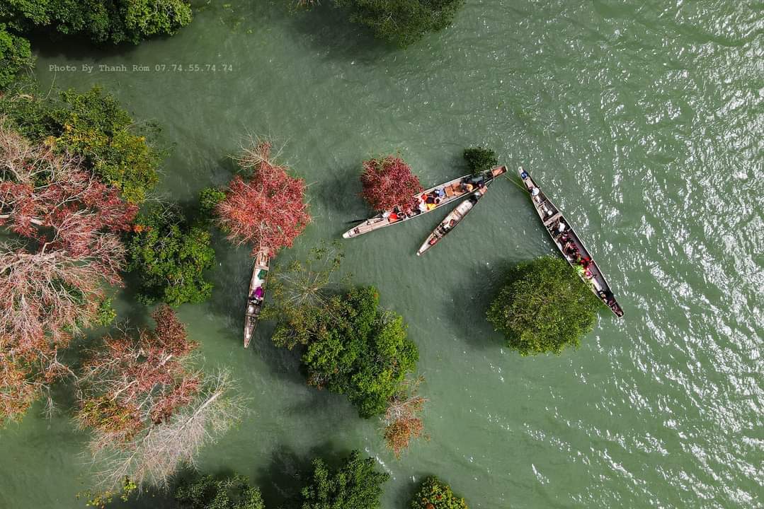 CheckinViet's tweet photo. Mời các bạn ghé thăm ngắm rừng lá Phong Hương Quảng Trị 1 lần. Ngắm nhìn những tuyệt tác thiên nhiên lộng lẫy.
#checkintravel
#checkinquangtri https://t.co/L4uSZ5ZZqu