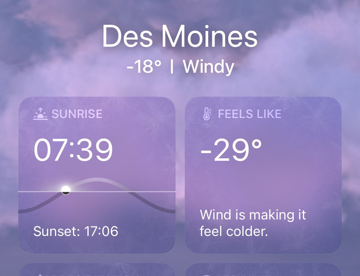 MitchMcCannNZ's tweet photo. Good morning from balmy Iowa ☀️ #kiwisummer https://t.co/hKpS9Bv7TW