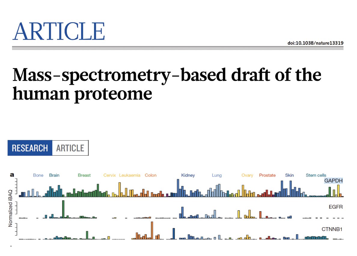 A reminder that the abundance of 'house keeping' proteins varies significantly across cells and tissues.

GAPDH (glyceraldehyde-3-phosphate
dehydrogenase) is often slandered a 'house keeping' protein, and its abundance varies significantly across human tissues.