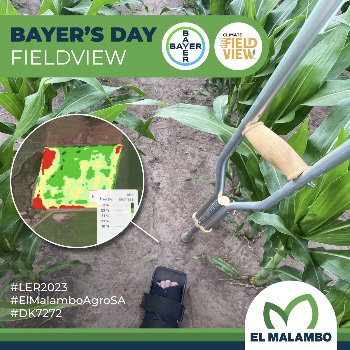 🌱 Líderes Relacionamiento.

🙌🏻 A pesar de las de las dificultades seguimos de recorrida #LER2023 @elmalamboagro SA/DK7272

<a href="/FieldViewArg/">FieldView Argentina</a> 

#DíaDeCampo #FieldViewArgentina #CampoArgentino #ElMalamboAgro