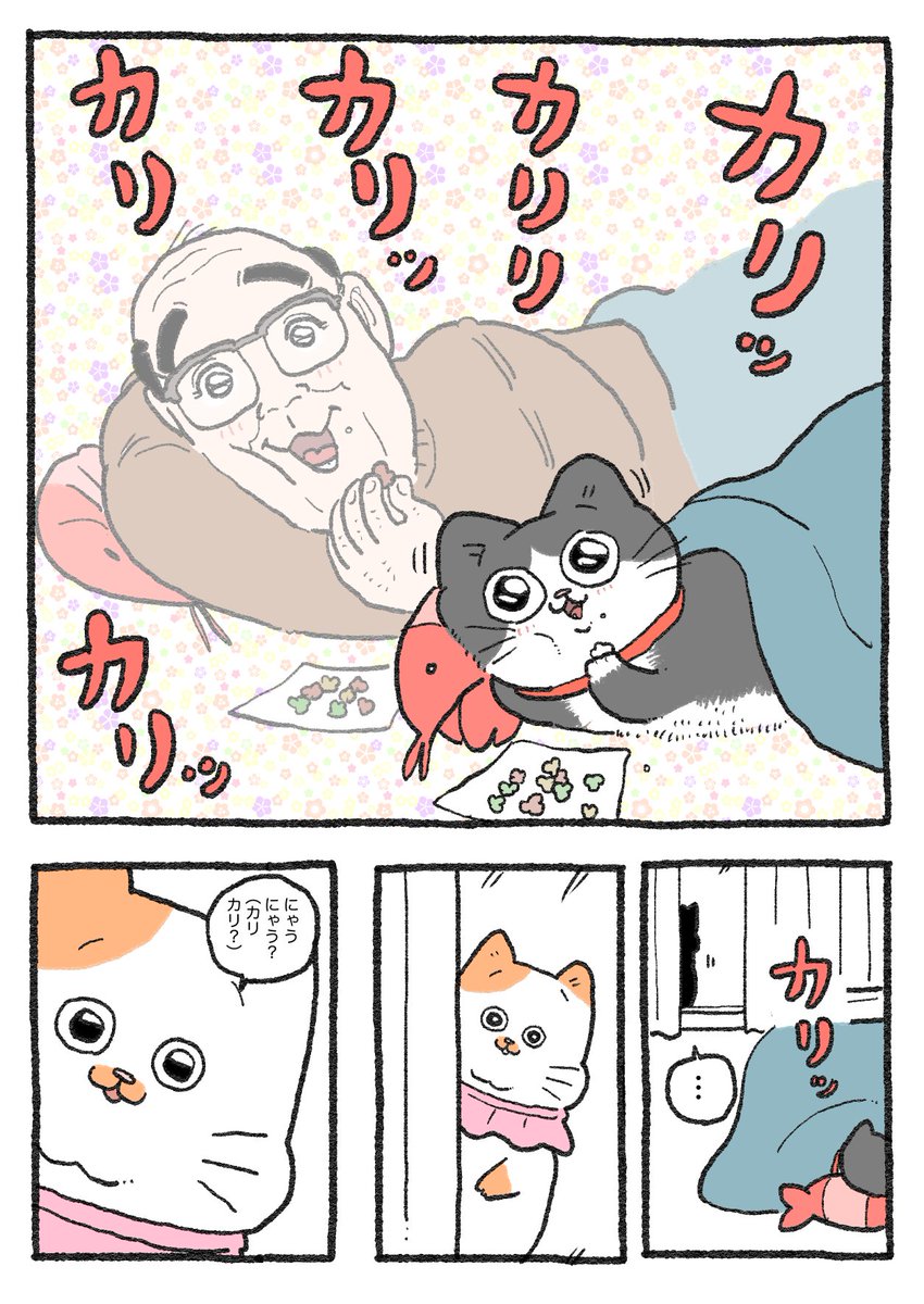 ねこおじ様 ねこに転生したおじさん。その343