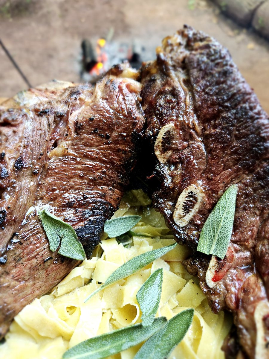 thaisbdias's tweet photo. Sabadou com massa fresca com manteiga e sálvia acompanhada de assado de tira. Se inspire com a receita de hoje dos canais @madeinfirebr no Youtube, Tiktok e Instagram. https://t.co/mzTsv35Y4h