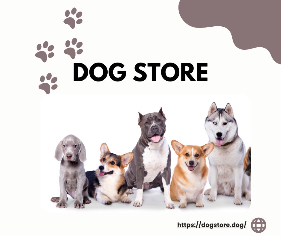 ObsessedBulldog's tweet photo. 🐾🐶 Calling all dog lovers! If you're passionate about pampering your pooch, our store is the perfect place for you. We've got everything from the tastiest treats to the trendiest toys. Make your furry friend's day by stopping by and spoicing them with something special. 🐾🐶 https://t.co/EKM80O9nPZ