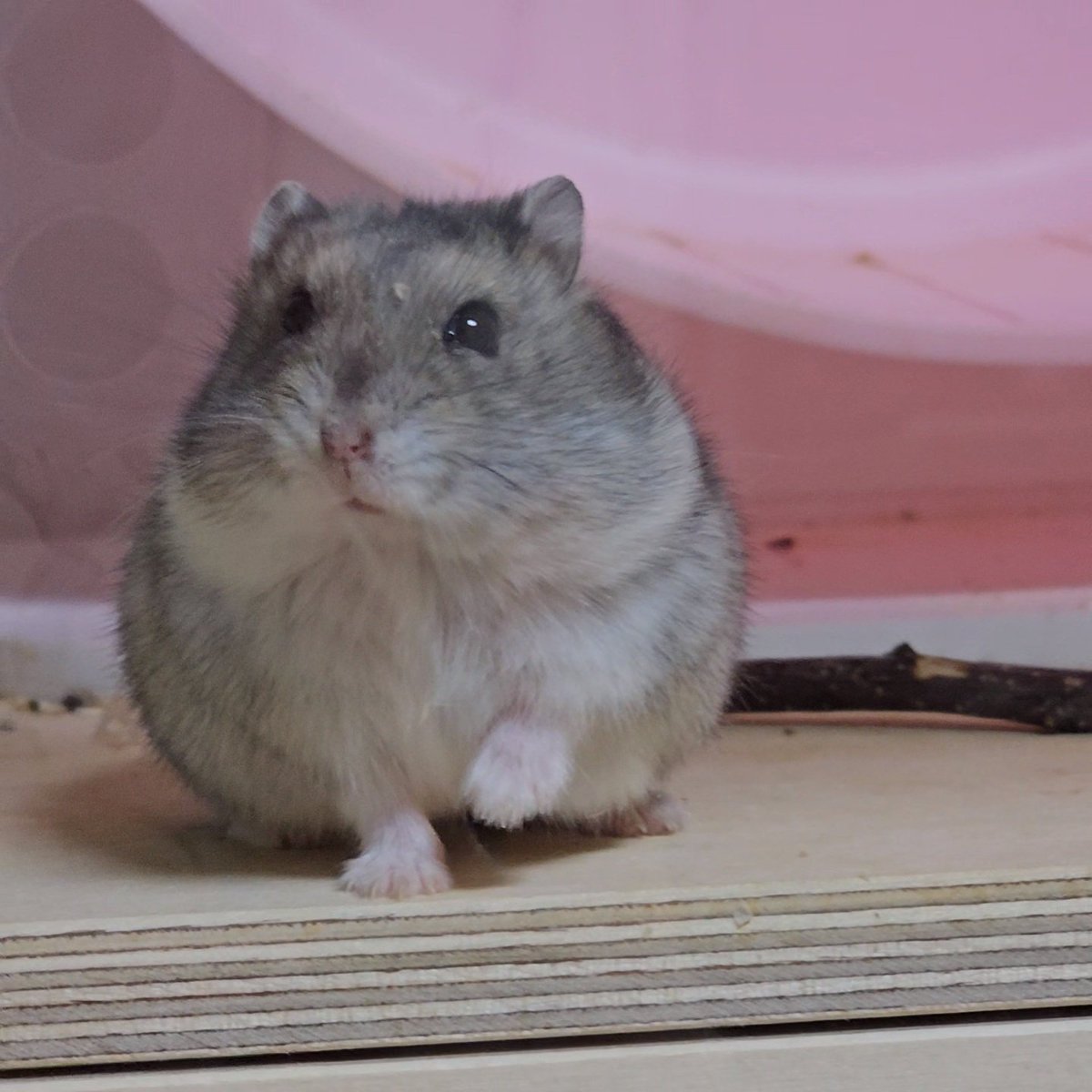 누가 이렇게 귀여우래!!