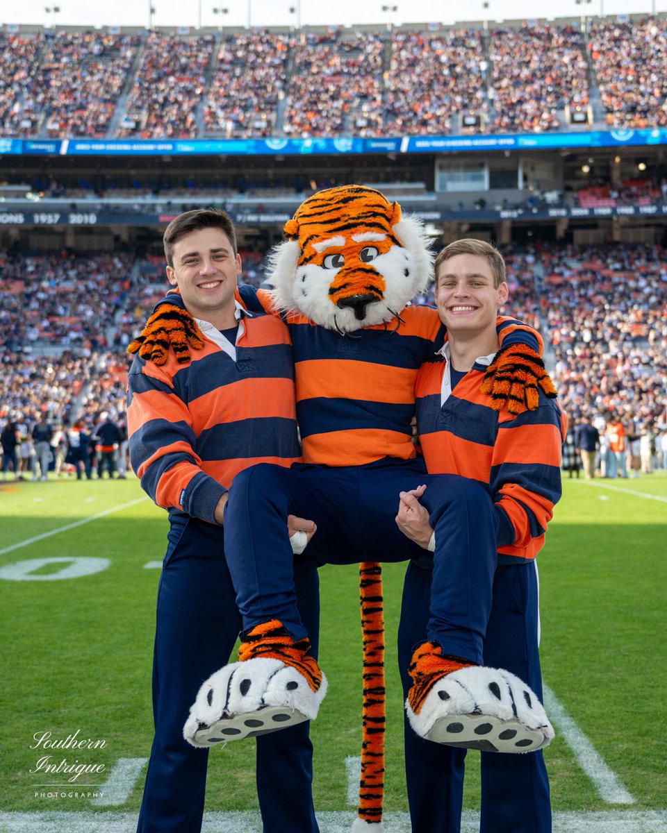 Auburn Cheerleading tweet media