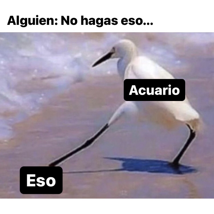 acuario_hn's tweet photo. No vamos a cambiar nunca 🤣 https://t.co/PvUhCqyCGr