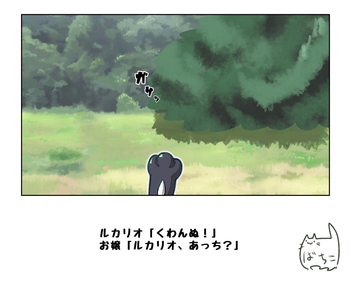 ホウエン旅行
#ポケモンと生活
ルカリオさん面倒見いい 