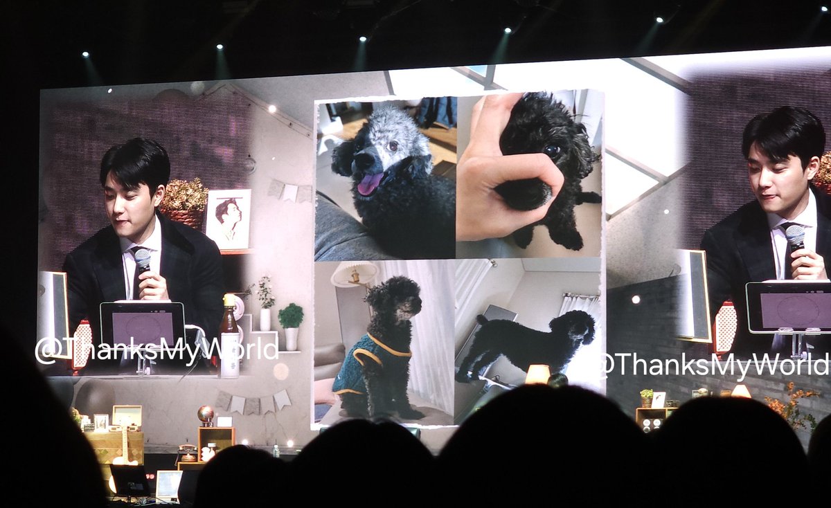 ThanksMyWorld's tweet photo. 후추, 먹물, 그리고 경수
표정 셋 다 귀여워😭 https://t.co/Ej1Y56tH43