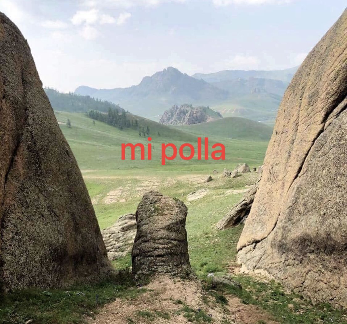 Cauquii tweet media