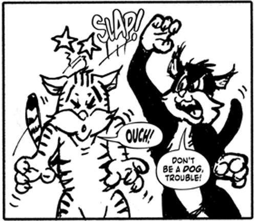 macandtrouble's tweet photo. Today, January 13 is MORE than Friday the 13th - it's "Blame Someone Else Day" !
Got a problem ? Blame Someone Else !
Late for work ? Blame Someone Else !
Forget to pay a bill ? Blame Someone Else !
#blamesomeone #someoneelse #blamesomeoneelse #cats https://t.co/zeeAerVF58