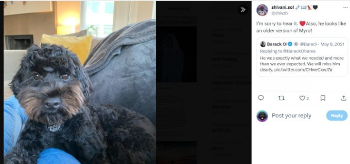 Hoppy2_ERC's tweet photo. @HelloMoon_io hello hello moon, worth checking out $BO

who is $BO? it $MYRO elder and it was confirmed by the mother $MYRO

@Bo_Solana https://t.co/aWpi138lMH