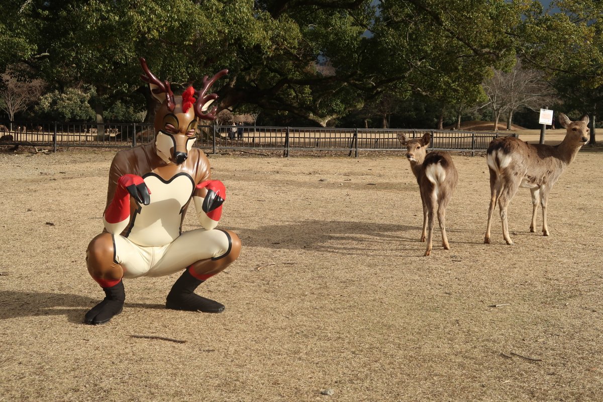 AlphXLang's tweet photo. I ate a deer cookie at Nara Park to see how it tasted and it went different than I expected...  ✂️:@PetsuitForFun

#SqueakySaturday #ShinySaturday #Latex https://t.co/bEISsBPdlJ