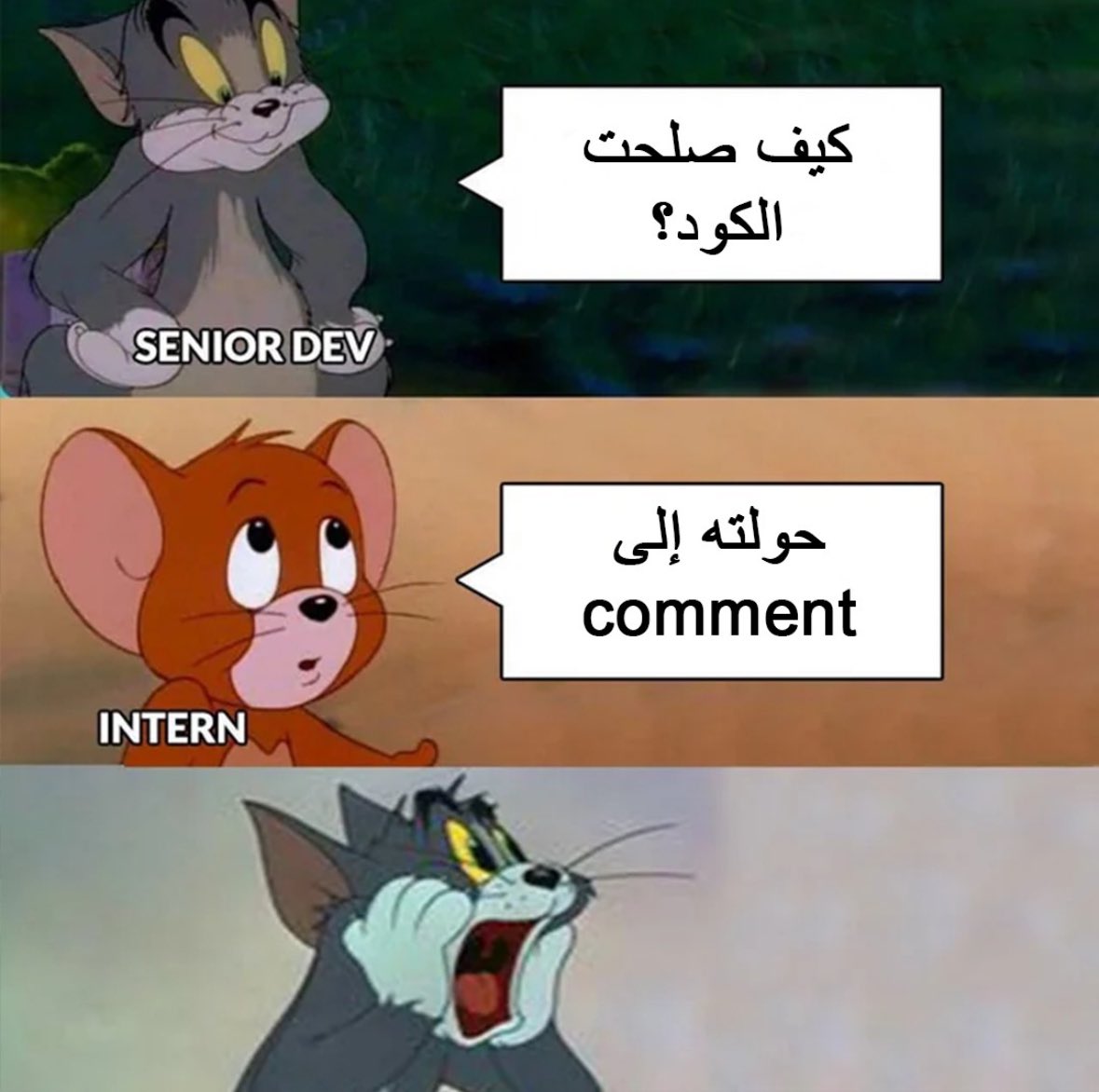 Hadeel Hakami tweet media