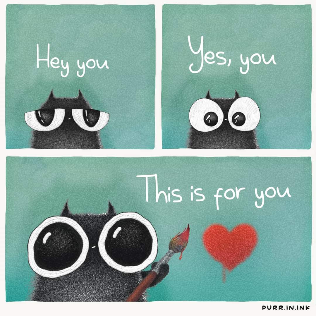 Happy Caturday 🐈‍⬛🖤