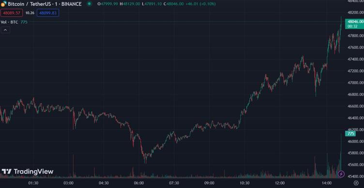 joshflin tweet media