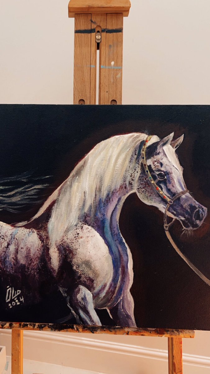 ألوان اكريليك على كانفس
مقاس50x50