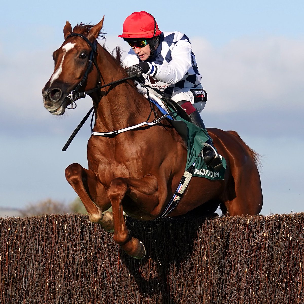 Banbridge is all heart in the Silviniaco Conti!