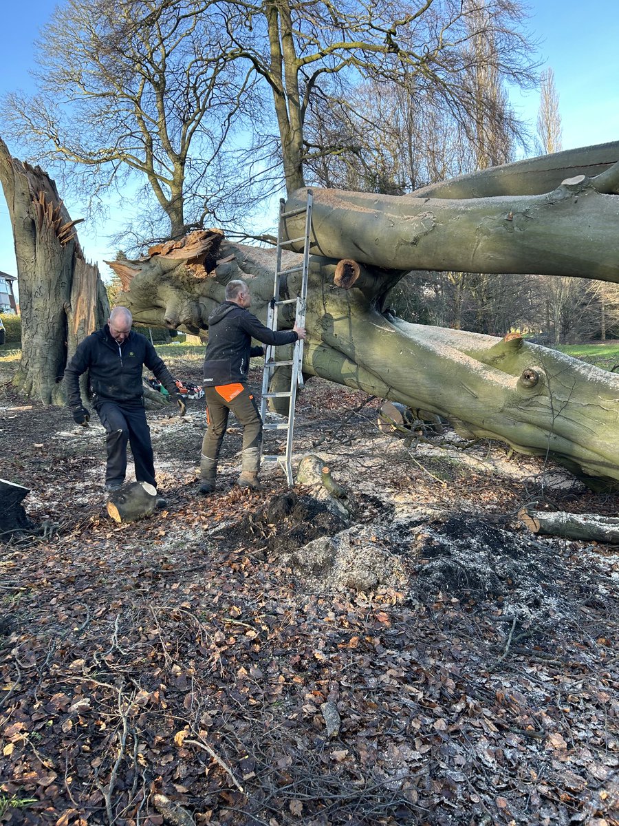 dukeofbeeston's tweet photo. ⁦@gottsparkgolf⁩ picking up a few twigs that are making the place untidy 👍 #community #golf #trees 🌳🪓🔥 https://t.co/9Y86lJ1rwV
