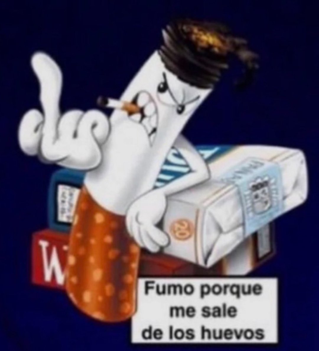 timu_timuti's tweet image. 