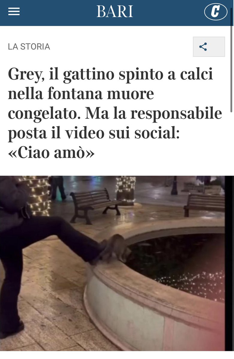 AlyMartinelli's tweet photo. Notizia appena uscita sui giornali. 
Ve lo dico, sto per mettermi a gridare.
#cretina #incarcere #maltrattamenti #animali #macomesifa https://t.co/Fr09qoGzcl