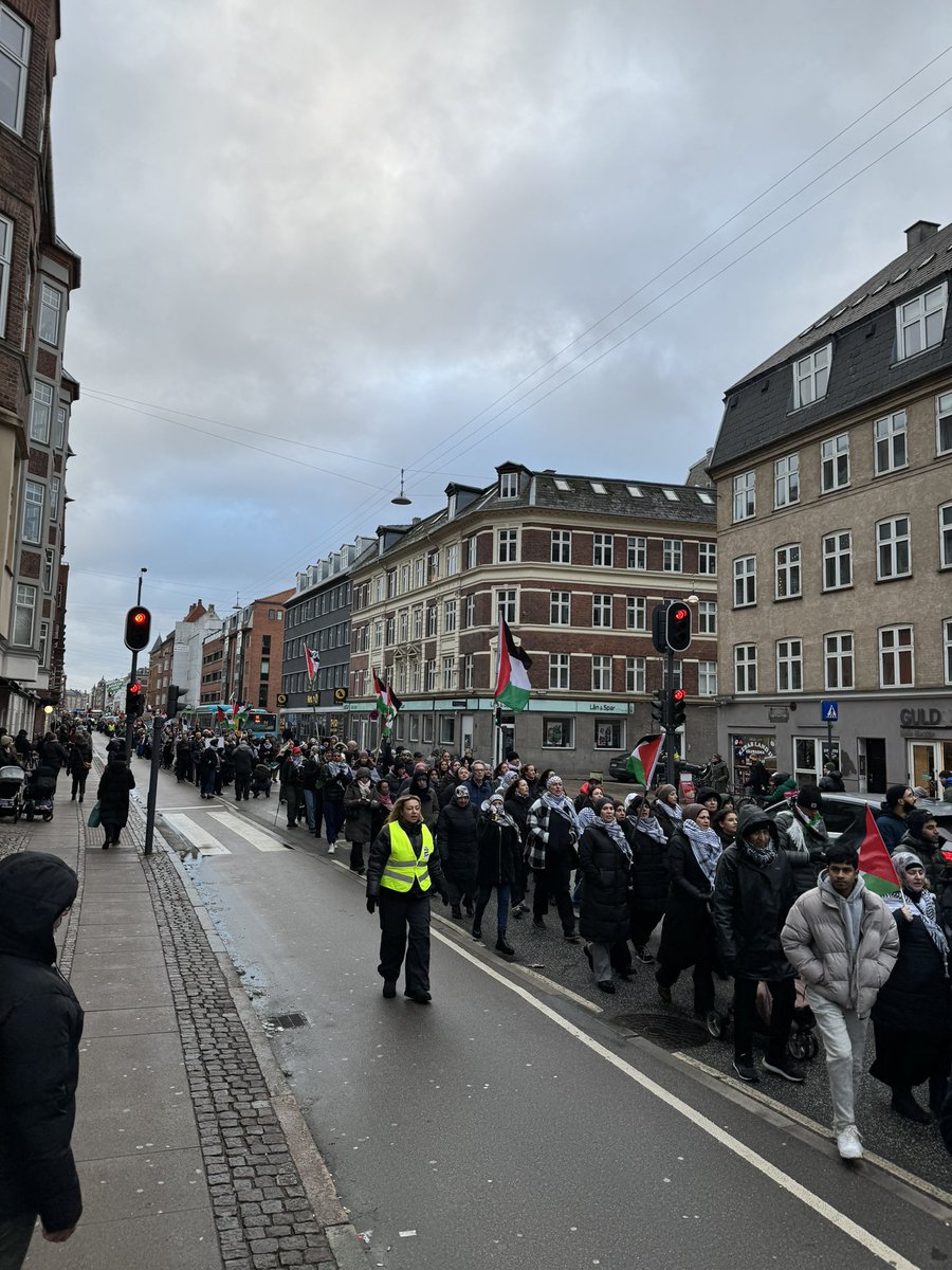 København, Danmark 13/01 🕊️✌🏼🇵🇸
#Globaldayofaction