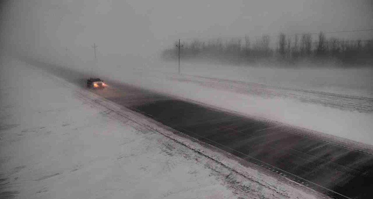 MnDOT traffic cam image... or art? 

This is from the camera along State Highway 11 near Donaldson amid blizzard conditions in northwest Minnesota this morning 

#mnwx