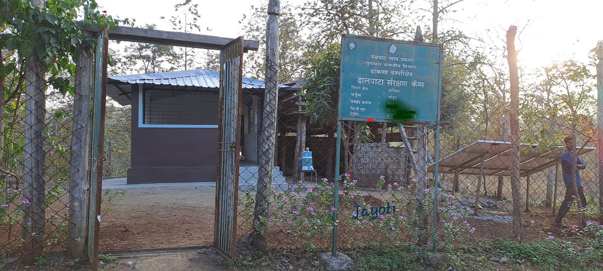 jayotibanerjee's tweet photo. No these are not our Tourist Huts..
The 1st building is our #ForestGuard Quarter 
Next to it is #DhalaphataProtectionCamp
#DCFGugamal @SolankeSumant has repaired old dilapidated quarters in even remotest of Melghats!
&amp;Fenced with attached Toilet &amp; Solar unit
#MelghatTigerReserve https://t.co/vt8WOePRDt