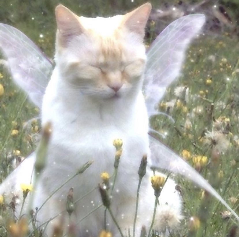 mousstery's tweet photo. je déteste les riches je déteste les riches je déteste les riches je déteste les riches https://t.co/Vsm09MjXJy