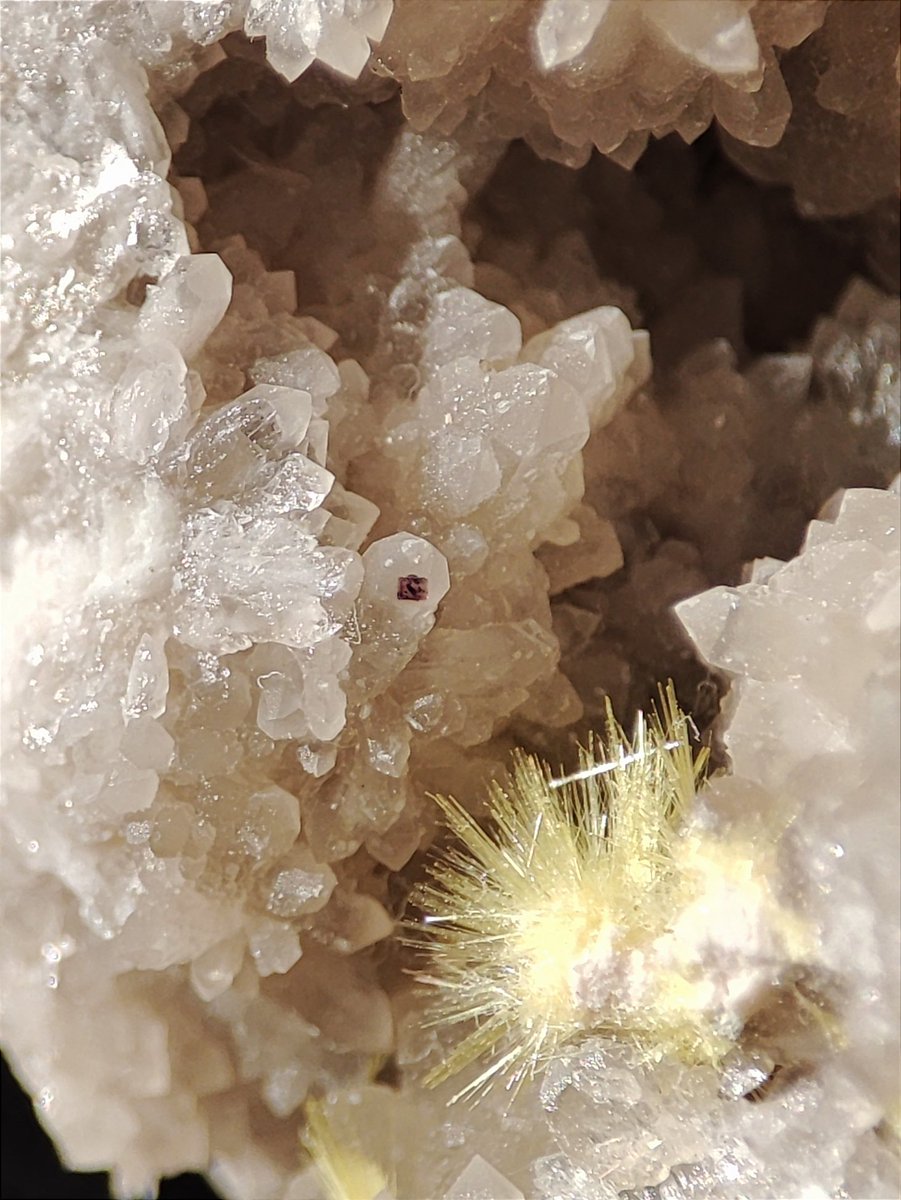 JSMinerals's tweet photo. Pequeña cavidad completamente cubierta de cuarzo donde se encuentran un conjunto de cristales amarillos de uranofano con su característica forma de aguja y un cristal cúbico de fluorita morada.
Mina de uranio Rössing, región de Erongo, Namibia. https://t.co/m0SMS20TiM