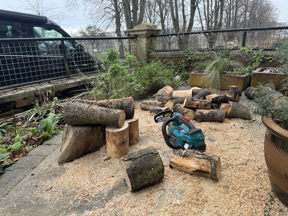 DrDannyPenman's tweet photo. People avoid eye contact with me when I use my chainsaw in the front garden. Is it the manic gleam in my eye? #deepermindfulness #vedana #feelingtone #sidereturn #sidereturngarden #sidereturninfill #citygardening #citygardener #citygardeners #mindfulness #Stress #anxiety https://t.co/x4FSfTTTX9